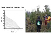 Forest Measurements and Biometrics