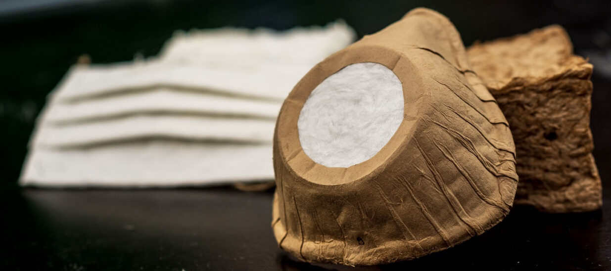 Biodegradable Medical Mask - UBC Forestry