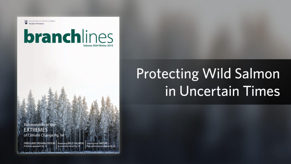 Protecting Wild Salmon - Branchlines Article Preview
