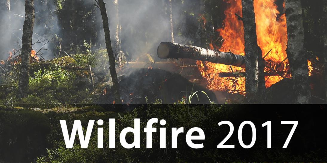 Wildfire 2017
