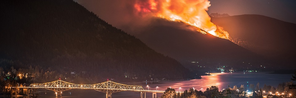 Wildfire Bridge